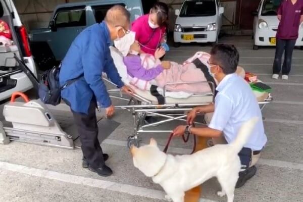 ストレッチャー搬送